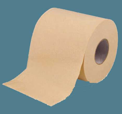  Toilet Paper Tissue For Bathroom 