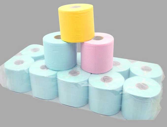 Ply Custom Print High Quality Funny Eco Toilet Paper Tissue(图2)